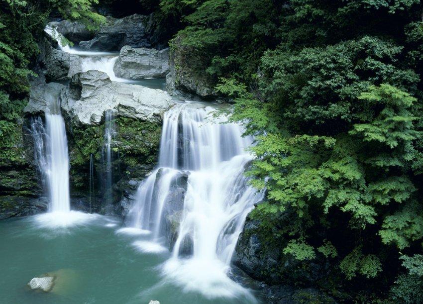 山东特产有哪些 可携带的山东特产